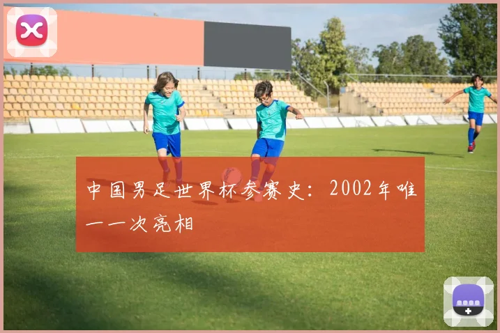 中国男足世界杯参赛史:2002年唯一一次亮相