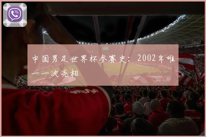 中国男足世界杯参赛史：2002年唯一一次亮相