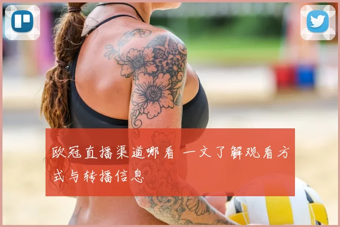 欧冠直播渠道哪看 一文了解观看方式与转播信息